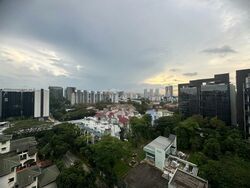 Leedon Green (D10), Condominium #460364431